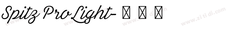 Spitz Pro Light字体转换 Spitz Pro Light字体转换